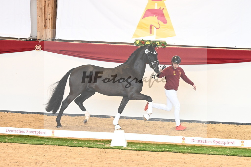 Kat.-Nr. 66 v. Taurus_Beckmann_2240857 | hf-fotografie - Realisiert mit Pictrs.com