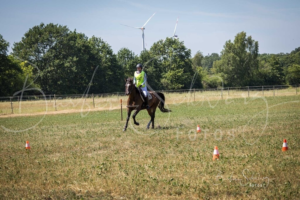 CJP_2026-06-26_85 | Stimmungsvolle Fotografie von Pferden, fotografische Begleitung von Veranstaltungen, Golfturnieren und Distanzritten - Realisiert mit Pictrs.com