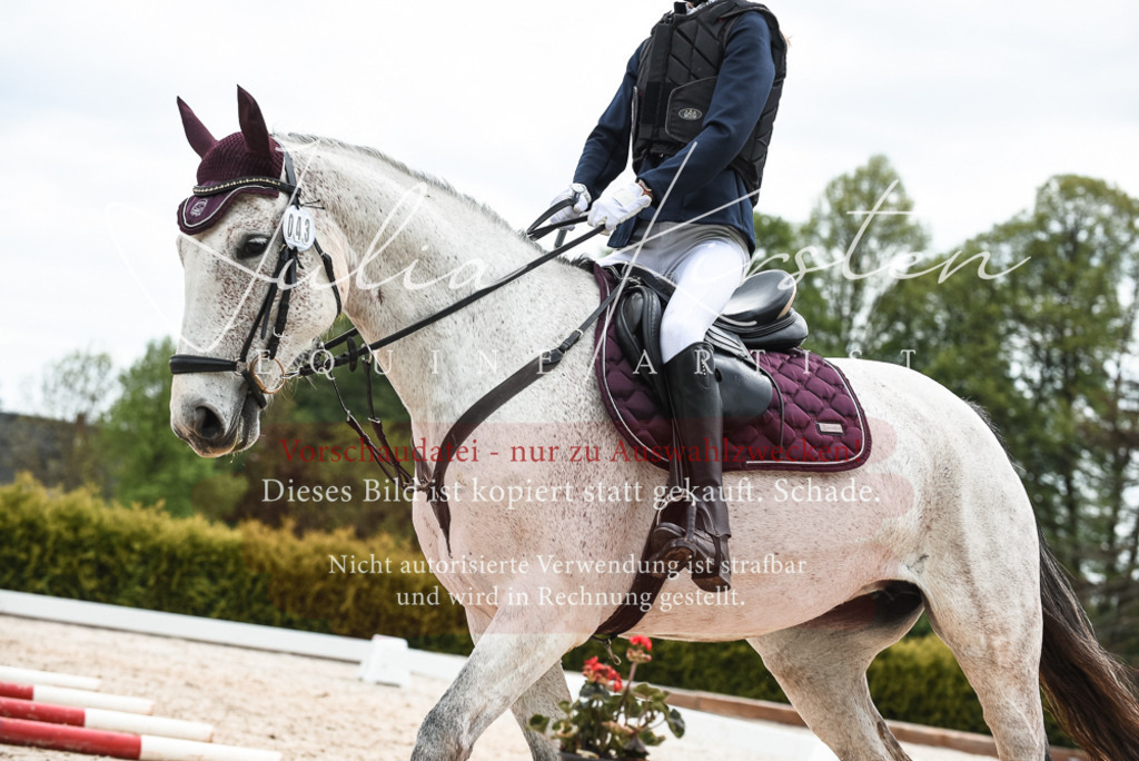 20230518_JK-Röhrsdorf-10-555 | Pferde- und Turnierfotografie in Westsachsen. Pferdeportraits, Auftragszeichnungen und intuitive Kunst.
