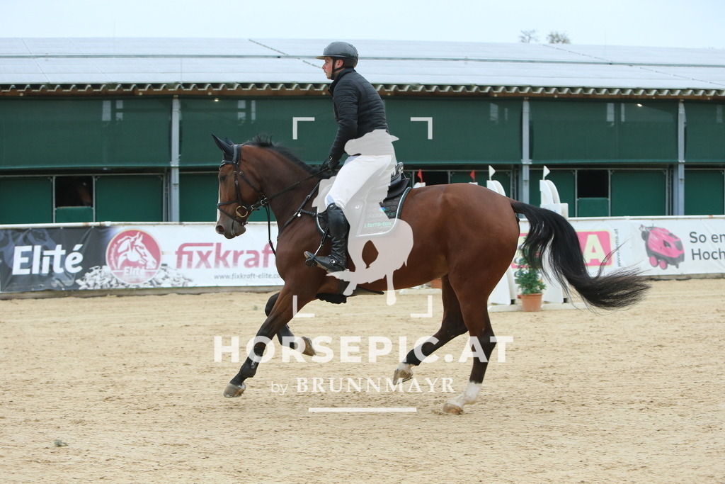 DL2Q4103 | Willkommen bei Brunnmayr - Design & Fotografie – Ihrem Spezialisten für Reitturniere und Pferdeveranstaltungen in Oberösterreich, Salzburg und Bayern! Seit über 17 Jahren sind wir leidenschaftlich dabei.