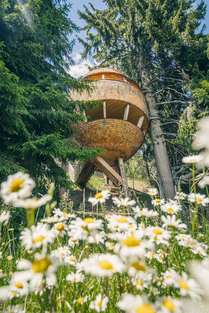 Malga_Priu_Karnische_Milchstrasse_2020-18 | piet_flosse