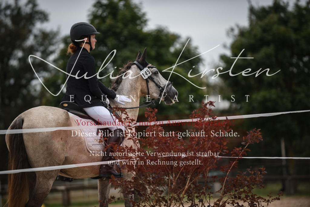 DSC_8106 | Pferde- und Turnierfotografie in Westsachsen. Pferdeportraits, Auftragszeichnungen und intuitive Kunst.