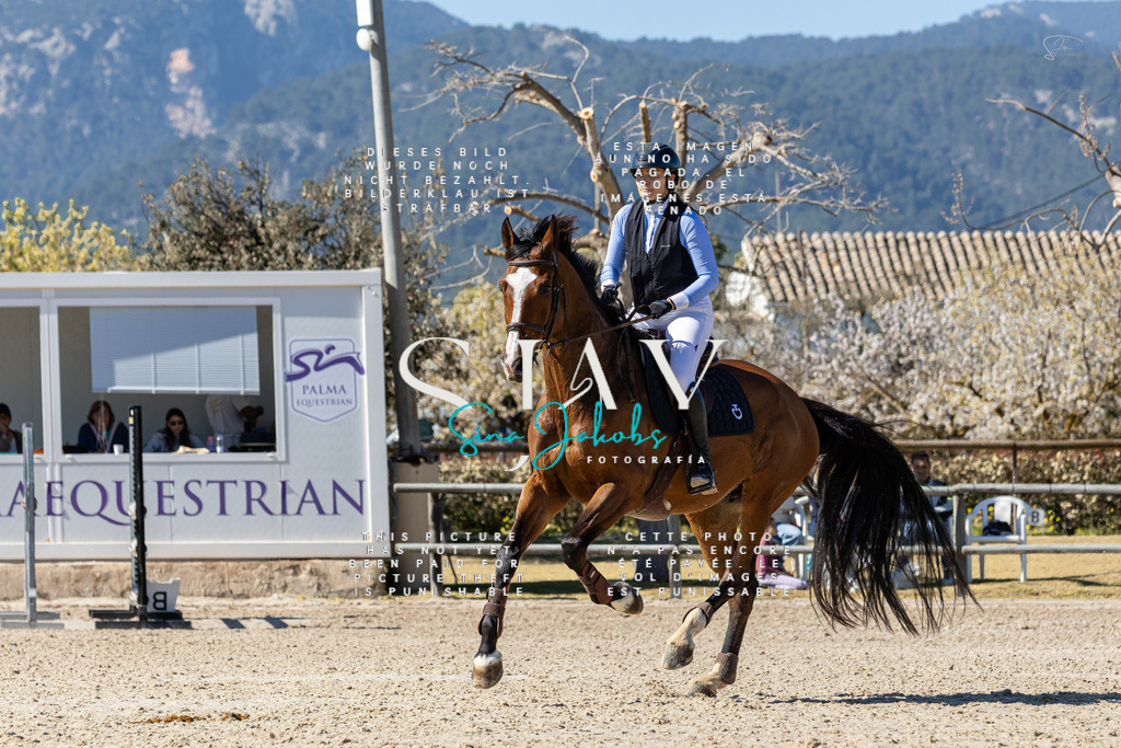 IMG_0182 | s-jay-photography - Realisiert mit Pictrs.com