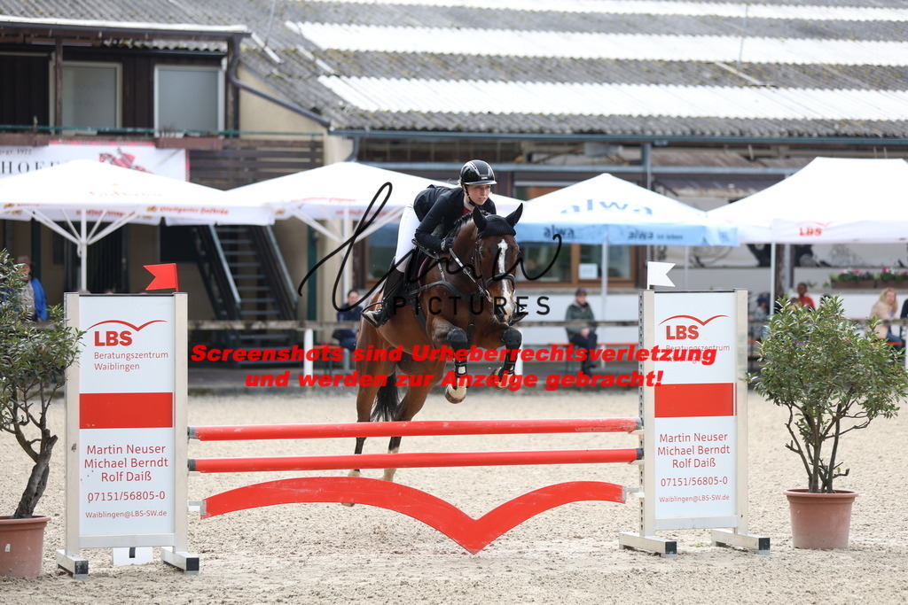 A40A1293 | lmwpictures - Realisiert mit Pictrs.com