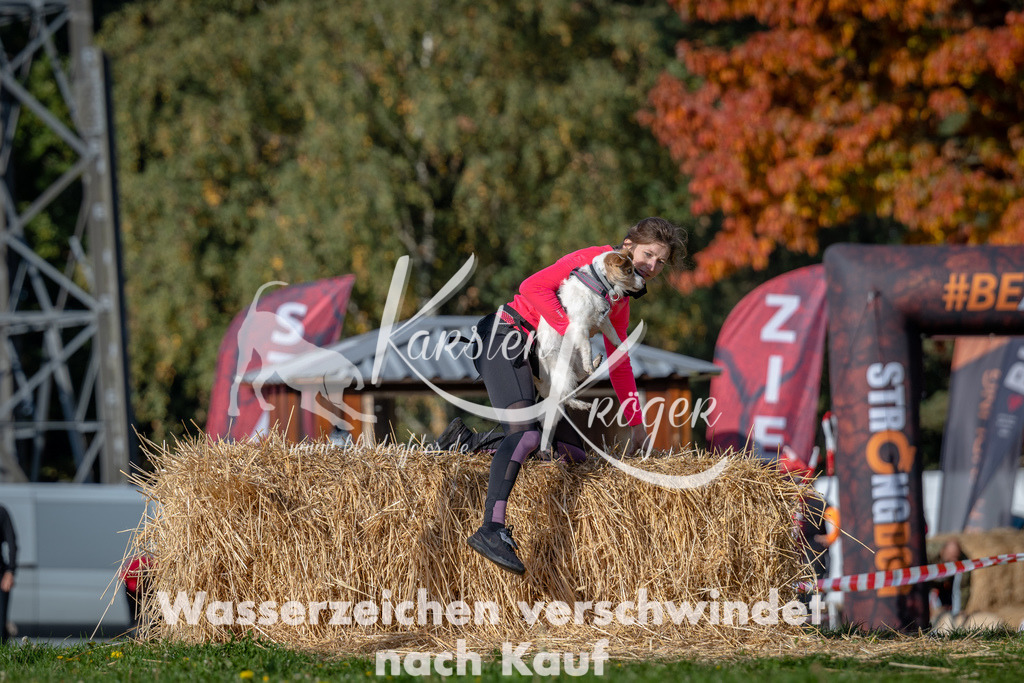1028_ZZ90518 | kk-dogfotos