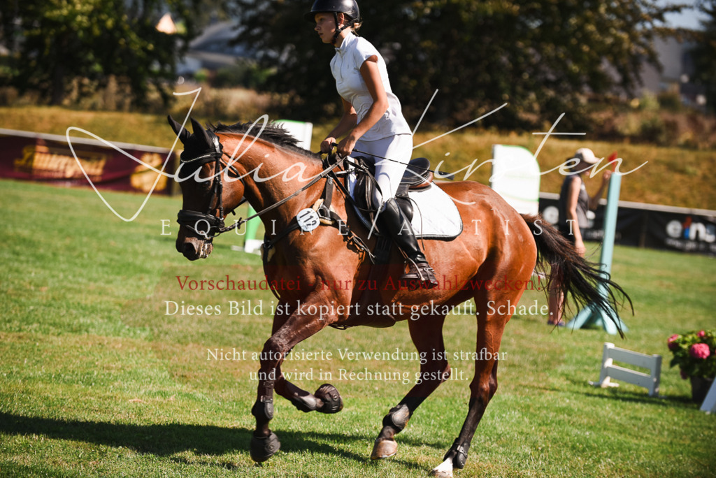 DSC_2892 | Pferde- und Turnierfotografie in Westsachsen. Pferdeportraits, Auftragszeichnungen und intuitive Kunst.