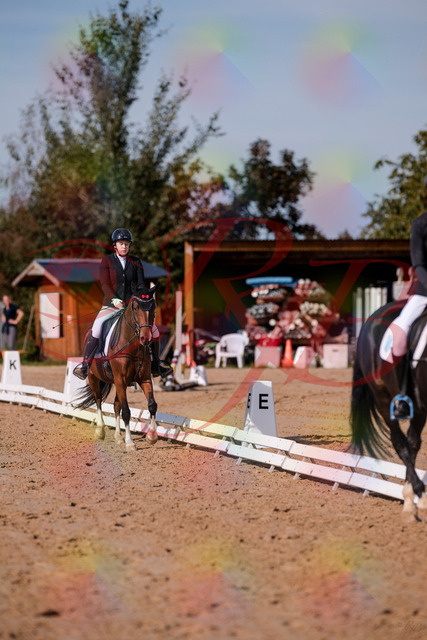 2026_10_03_Siefer-Hof_115506_Z81_95341676 | Professionelle Reitsport-, Turnier- und Eventfotografie von Robert Broda. Galerien mit ausgewählten und bearbeiteten Bildern direkt online ansehen und bestellen.