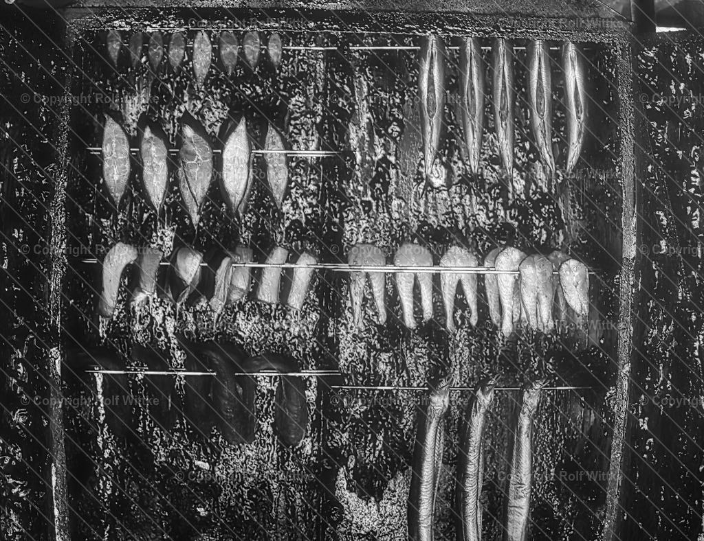 1D3A6577 | Rolf Wittke  - Realisiert mit Pictrs.com