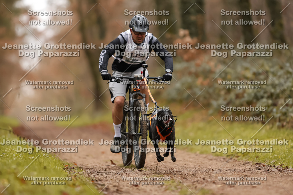 Dog Paparazzi - Speedhunter Mannheim  2025-379 | Dog Paparazzi Jeanette Grottendiek Fotografie & Videografie