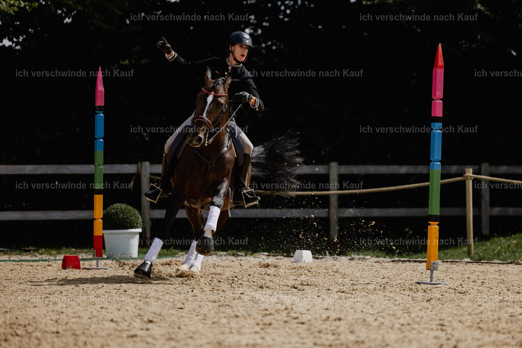 Virginie12FHC2025-20682 | working equitationturnier fotograf videograf stoibphotography marixx film working equitation deutschland reitsport turnierfotografie eventfotografie equestrian events