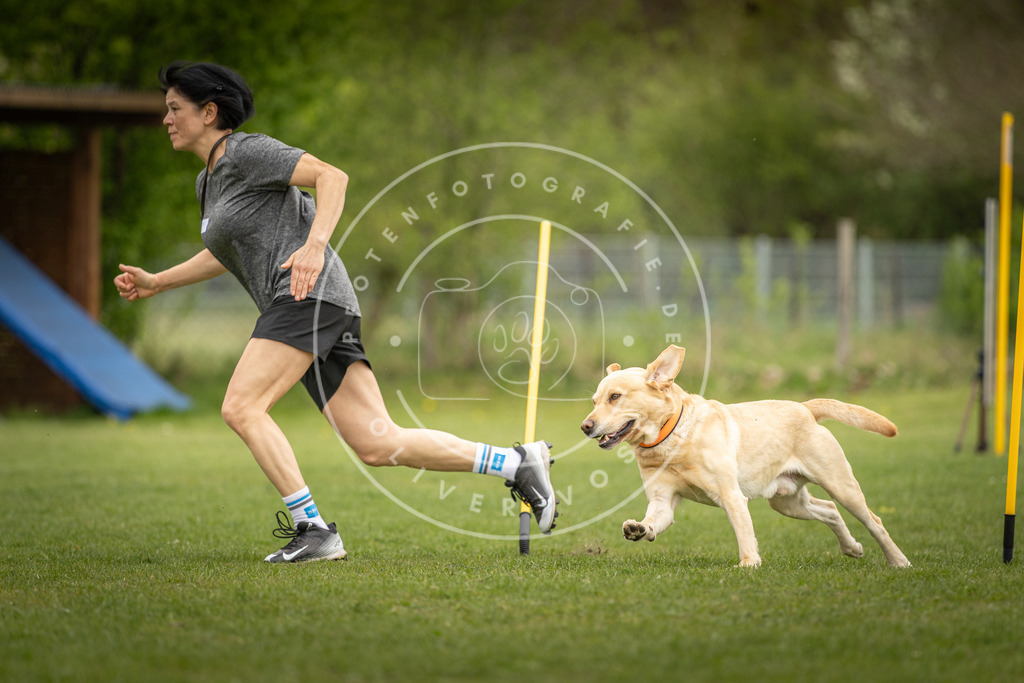 Pfotenfotografie_DV3A9594 | Hundefotografie, Tierfotograf, Pfotenfotografie, Fotoshooting Hund, Hunde Portrait, Hundesport, Hundeportraits, Heideshooting, Hunde, Sportfotograf, Hundefotograf, Turnierhundsport, THS,  - Realisiert mit Pictrs.com