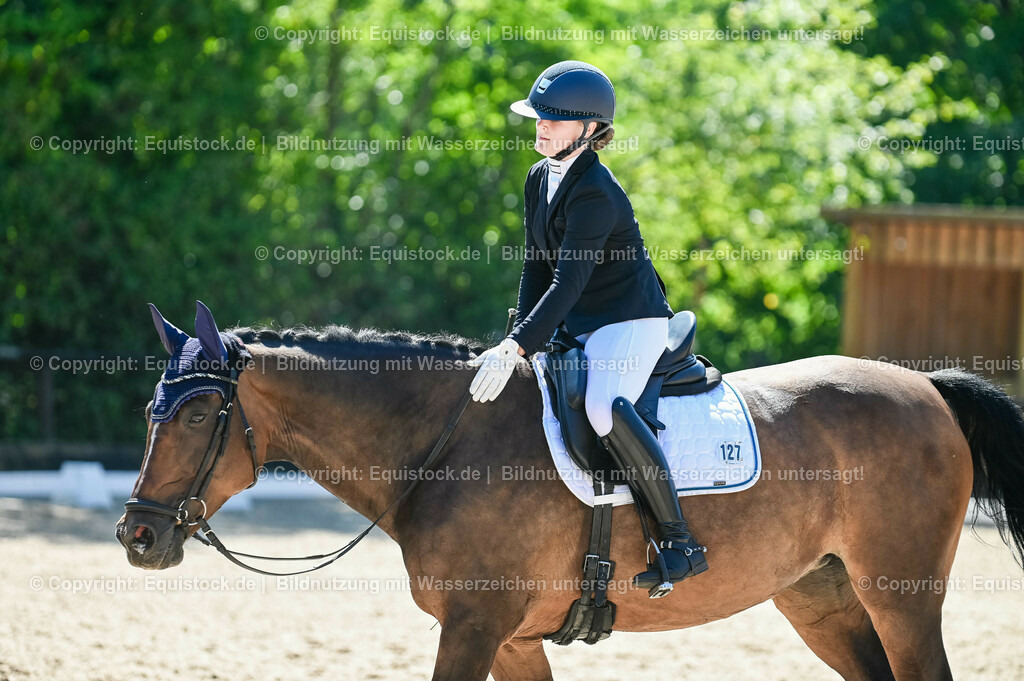 20230908_06_Dressur-L-Trense_0509 | equistock