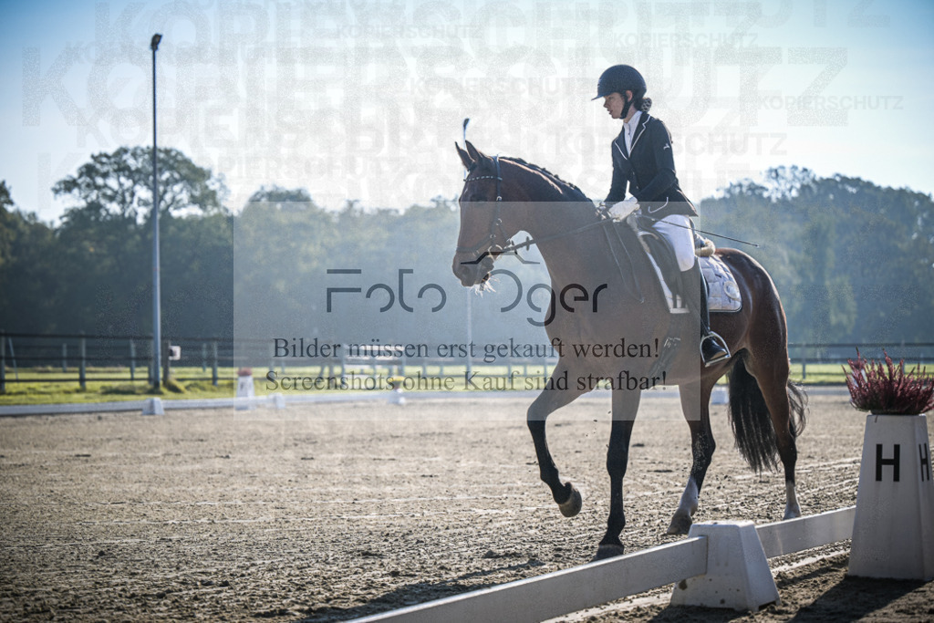 DOS_0226 | Entdecke hochwertige Reitturnierfotos von Foto Oger. Professionell, emotional und authentisch – jetzt Lieblingsmomente im Shop bestellen.Deutschlandweite Turnierfotografie. - Realisiert mit Pictrs.com