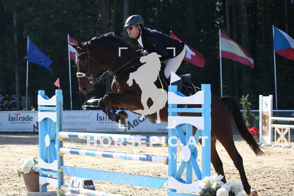 DL2Q1718 | Willkommen bei Brunnmayr - Design & Fotografie – Ihrem Spezialisten für Reitturniere und Pferdeveranstaltungen in Oberösterreich, Salzburg und Bayern! Seit über 17 Jahren sind wir leidenschaftlich dabei.