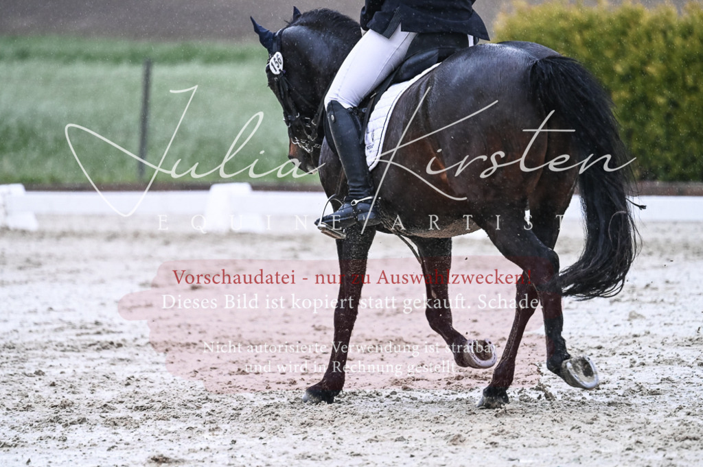 DSC_4655 | Pferde- und Turnierfotografie in Westsachsen. Pferdeportraits, Auftragszeichnungen und intuitive Kunst.