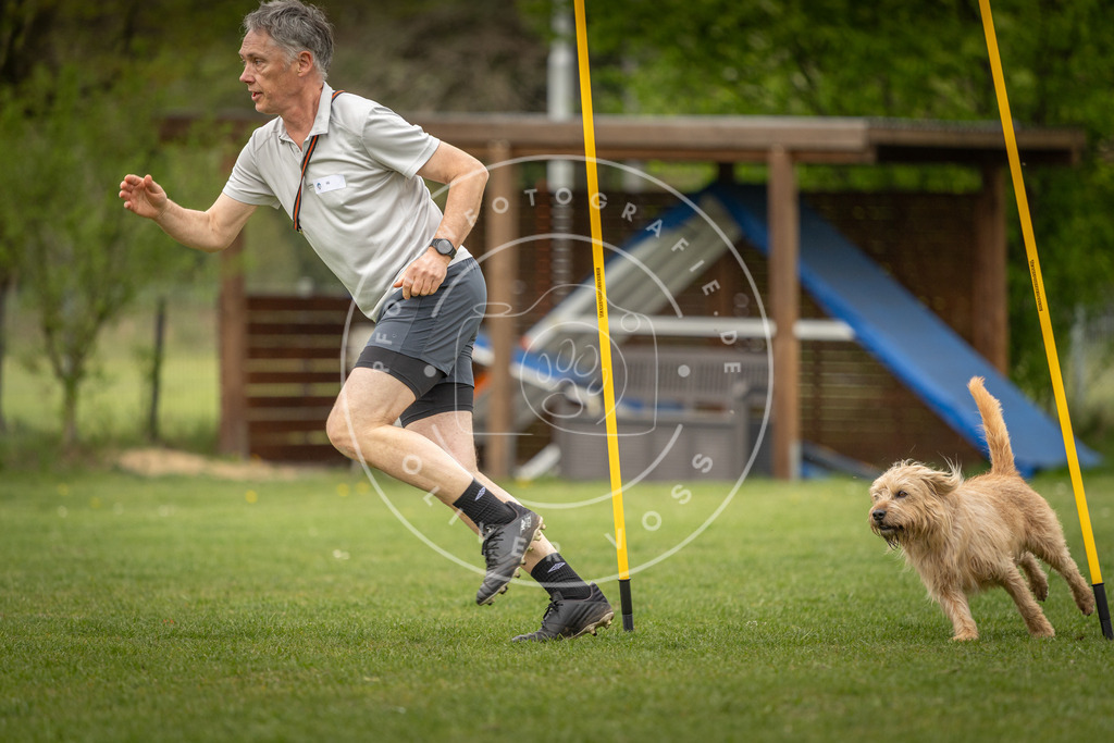 Pfotenfotografie_DV3A1993 | Hundefotografie, Tierfotograf, Pfotenfotografie, Fotoshooting Hund, Hunde Portrait, Hundesport, Hundeportraits, Heideshooting, Hunde, Sportfotograf, Hundefotograf, Turnierhundsport, THS,  - Realisiert mit Pictrs.com