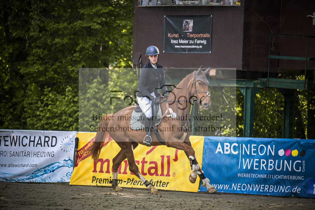 DOS_4139 | Entdecke hochwertige Reitturnierfotos von Foto Oger. Professionell, emotional und authentisch – jetzt Lieblingsmomente im Shop bestellen.Deutschlandweite Turnierfotografie. - Realisiert mit Pictrs.com