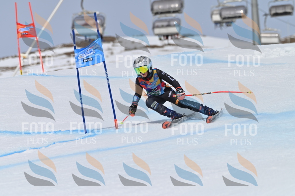 BGV_4355 | holidayphoto