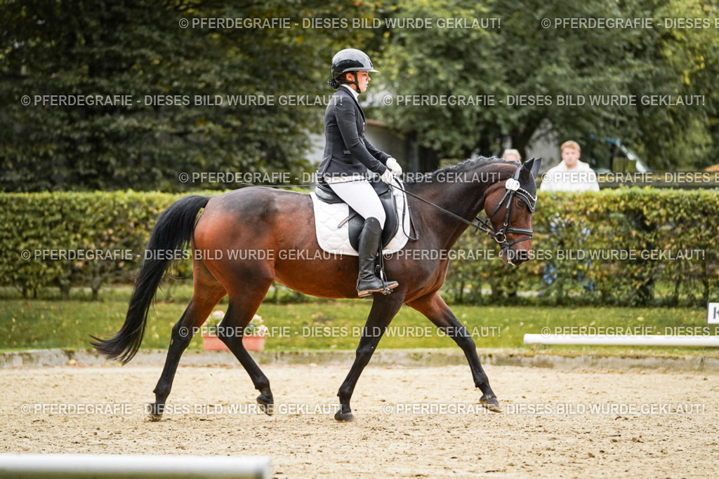 DSC07118 | Pferdegrafie