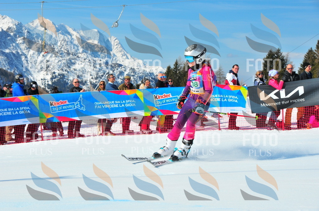 DSC_0810 | holidayphoto