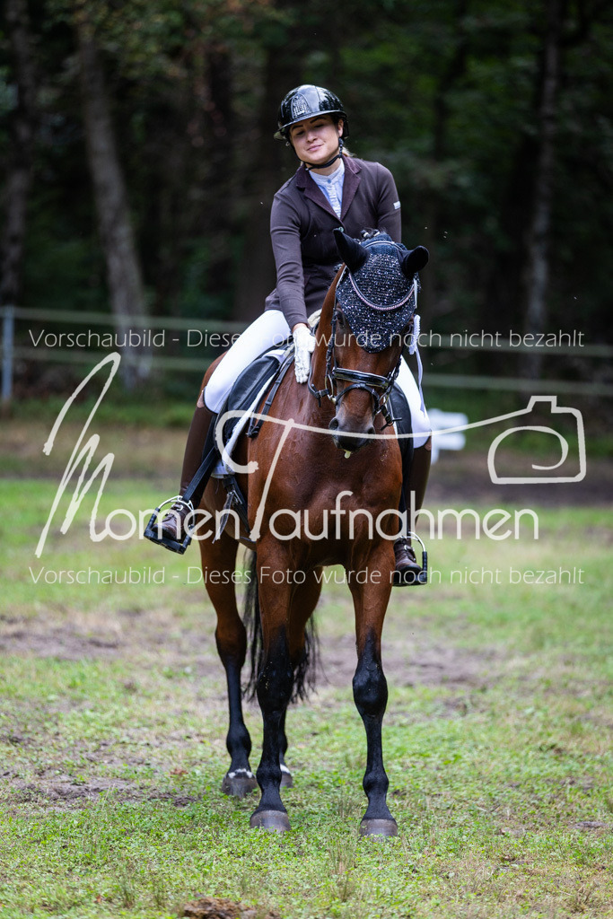HB-A-Dressur-175 | MomenTaufnahmen Pferdesportfotos