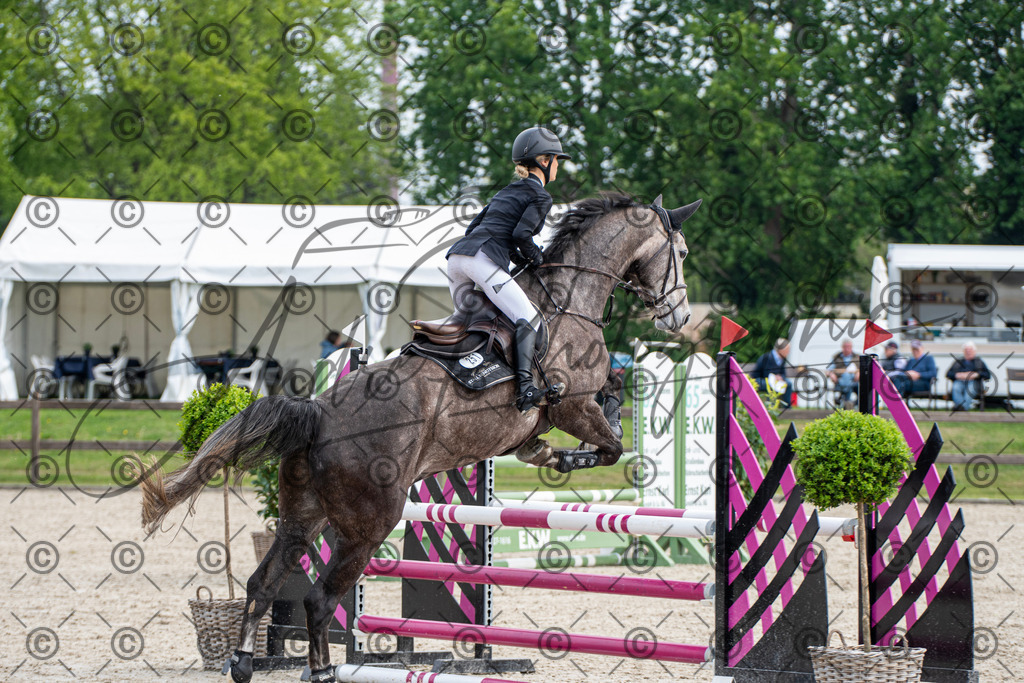 KPT_2557 | andre_photographic