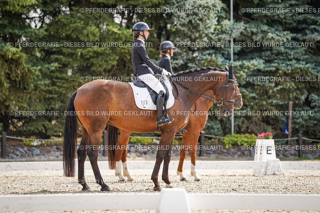 DSC08668 | Pferdegrafie