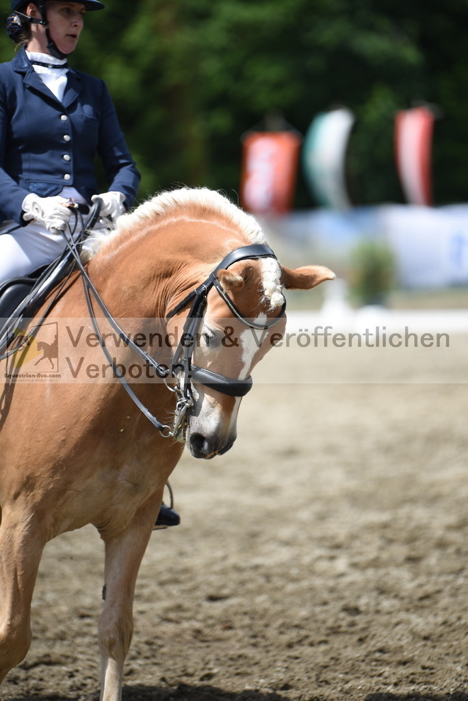 DSC_1309 | equestrian-live-com