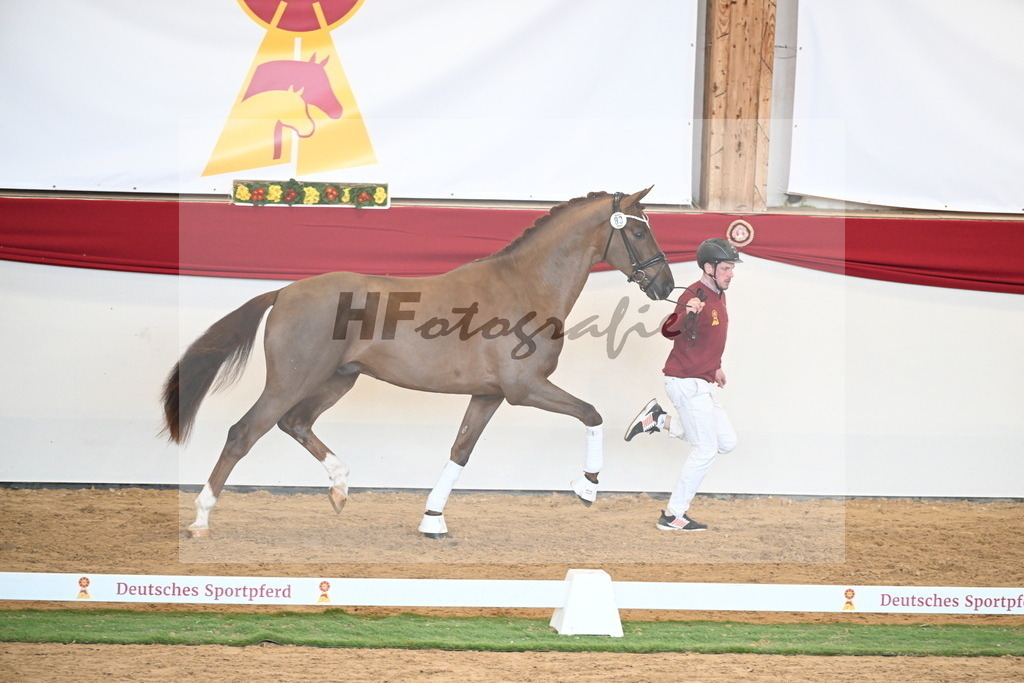 Kat.-Nr. 83 v. Va Bene_Winklmaier_2250883 | hf-fotografie - Realisiert mit Pictrs.com