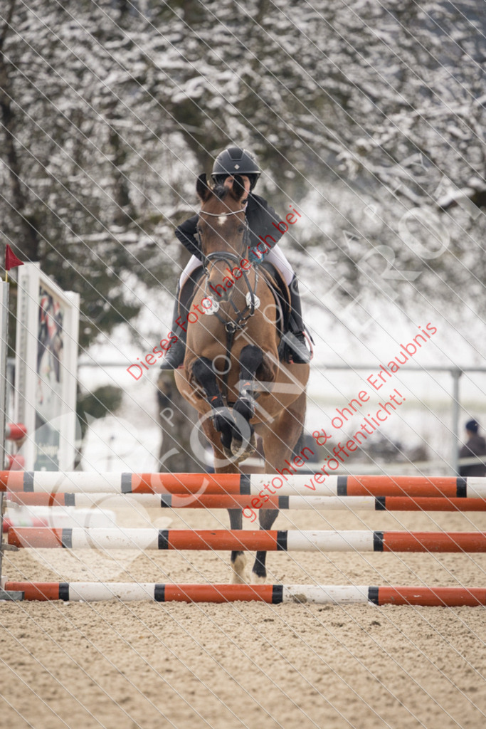 CON_8505 | Sport-, Event- und Tierfotos in Profiqualität. Einfach auswählen, bestellen und herunterladen. Dein Moment – perfekt festgehalten.