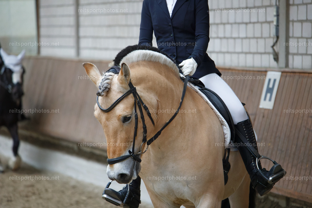 JHE_6628 | JoYa Fotografie - Realisiert mit Pictrs.com