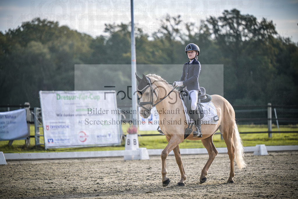 DOS_4907 | Entdecke hochwertige Reitturnierfotos von Foto Oger. Professionell, emotional und authentisch – jetzt Lieblingsmomente im Shop bestellen.Deutschlandweite Turnierfotografie. - Realisiert mit Pictrs.com