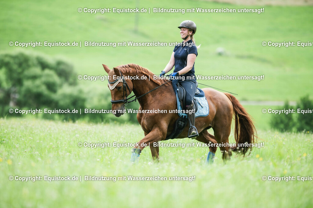20210623_Reiten-auf-Wiese_0004 | Foto: Thomas Hartig