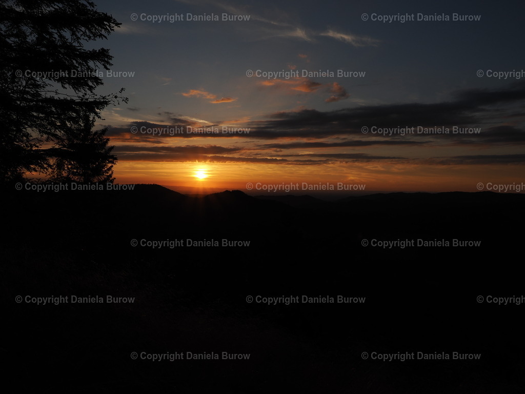 Sonnenuntergang  | danielaburow - Realisiert mit Pictrs.com