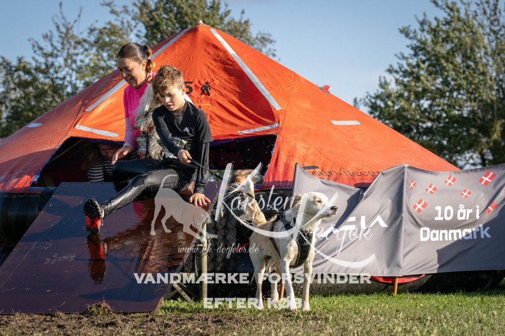 1450-90104 | kk-dogfotos