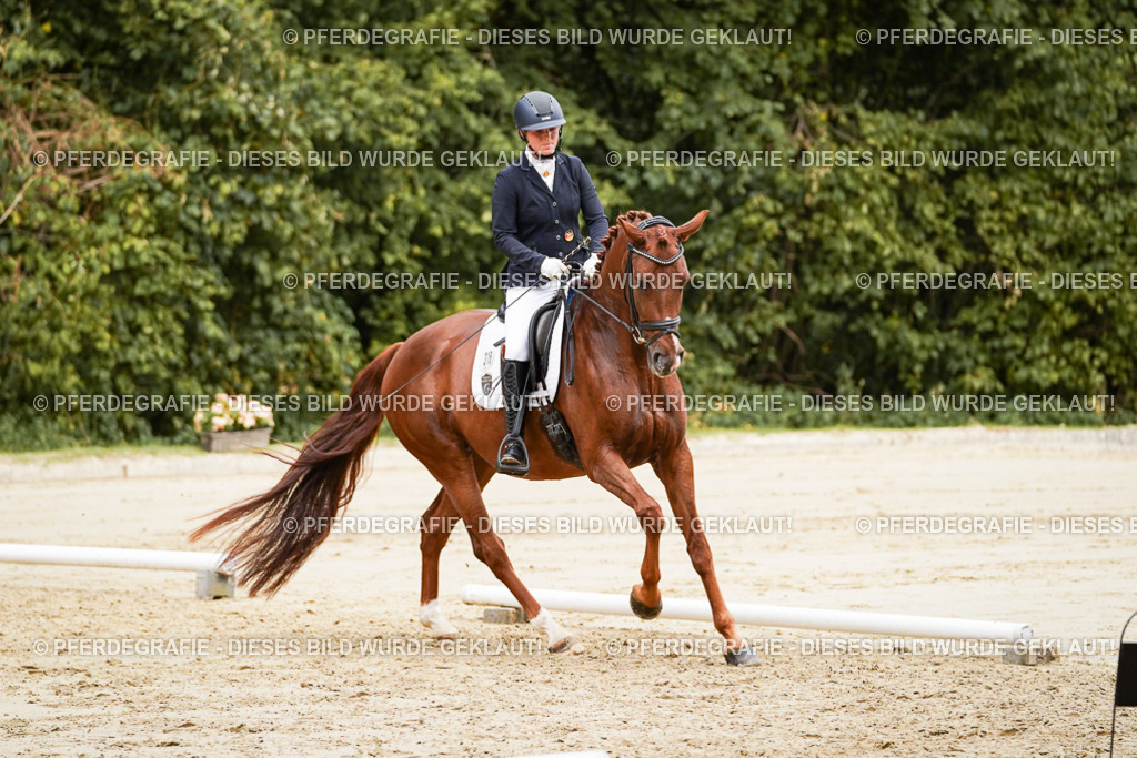 DSC09369 | Pferdegrafie