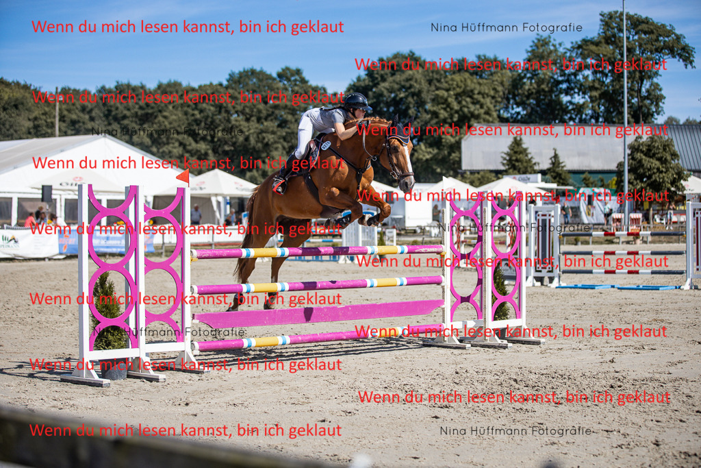 BK1A6986 | Turnierbilder Turnierfotos Nina Hüffmann Turnierfotografie Pferdefotografie Tierzeichnung Haustierzeichnung Pferdezeichnung Hundezeichnung Videograf  - Realisiert mit Pictrs.com