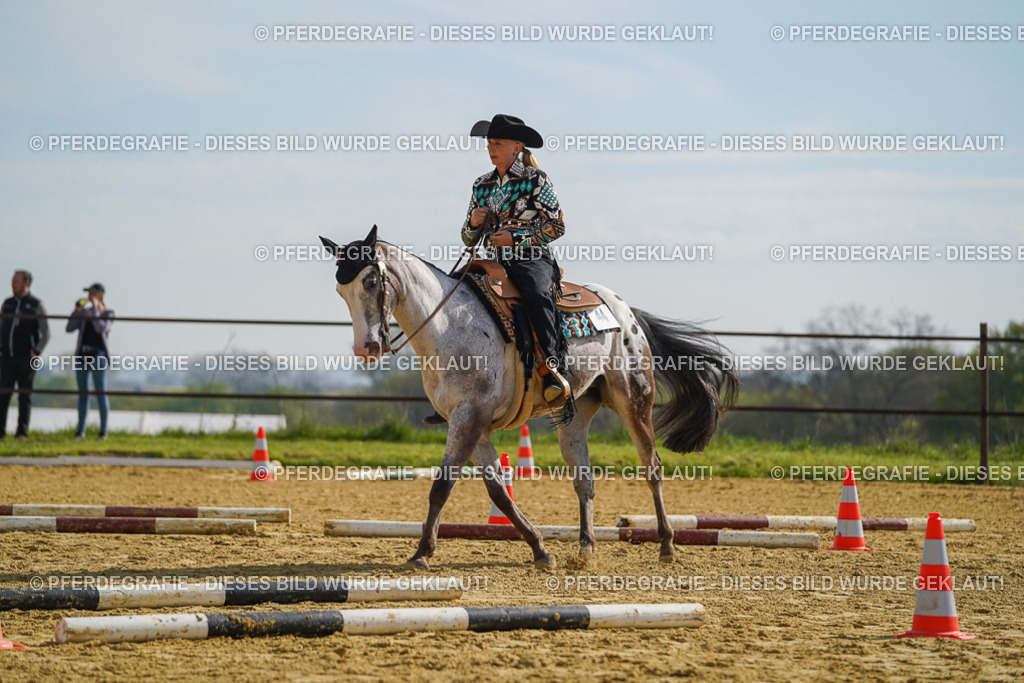 DSC01462 | Pferdegrafie