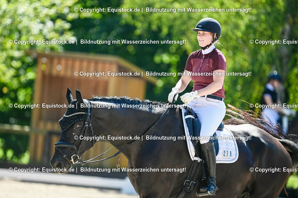 20230908_06_Dressur-L-Trense_0772 | equistock