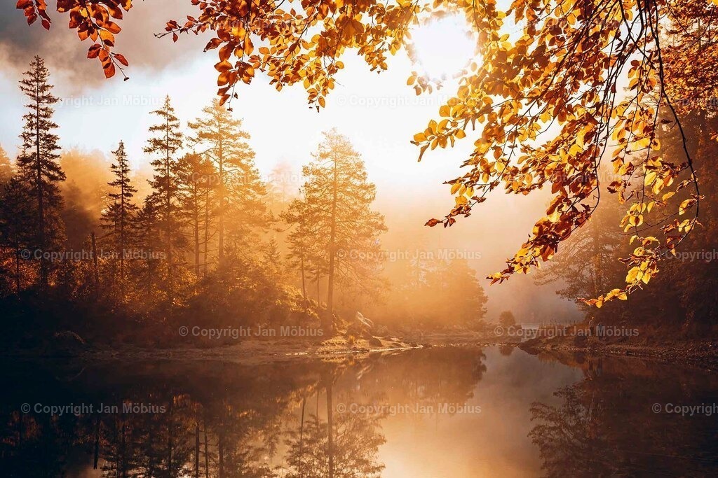 _DSC4226 | Leipzig Wandbilder Drucke Prints Leinwand Stadtmotive Leipzig Fotosdruck Kunstdrucke Bilder Leipzig Stadtansichten Acrylglasbilder Leipzig Wanddeko Fine Art Prints Wandbilder Büro Leipzig Bilder Praxis Zuhause Bilderdruck Poster Posterlounge Kunstdrucke - Realisiert mit Pictrs.com