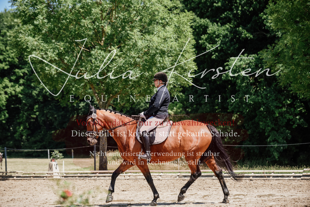 DSC_1993 | Pferde- und Turnierfotografie in Westsachsen. Pferdeportraits, Auftragszeichnungen und intuitive Kunst.