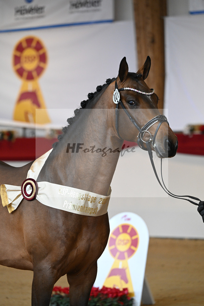 Kat-Nr. 1 Alaba_Wilbers_1231636 | hf-fotografie - Realizzato con Pictrs.com