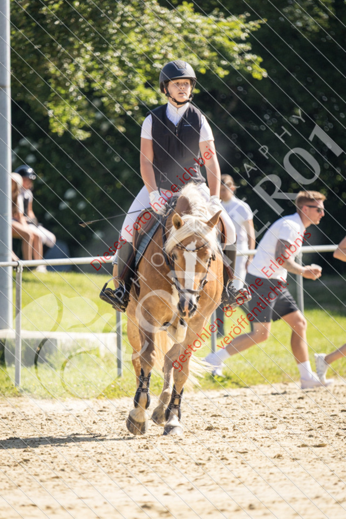 IMG_3056 | Sport-, Event- und Tierfotos in Profiqualität. Einfach auswählen, bestellen und herunterladen. Dein Moment – perfekt festgehalten.