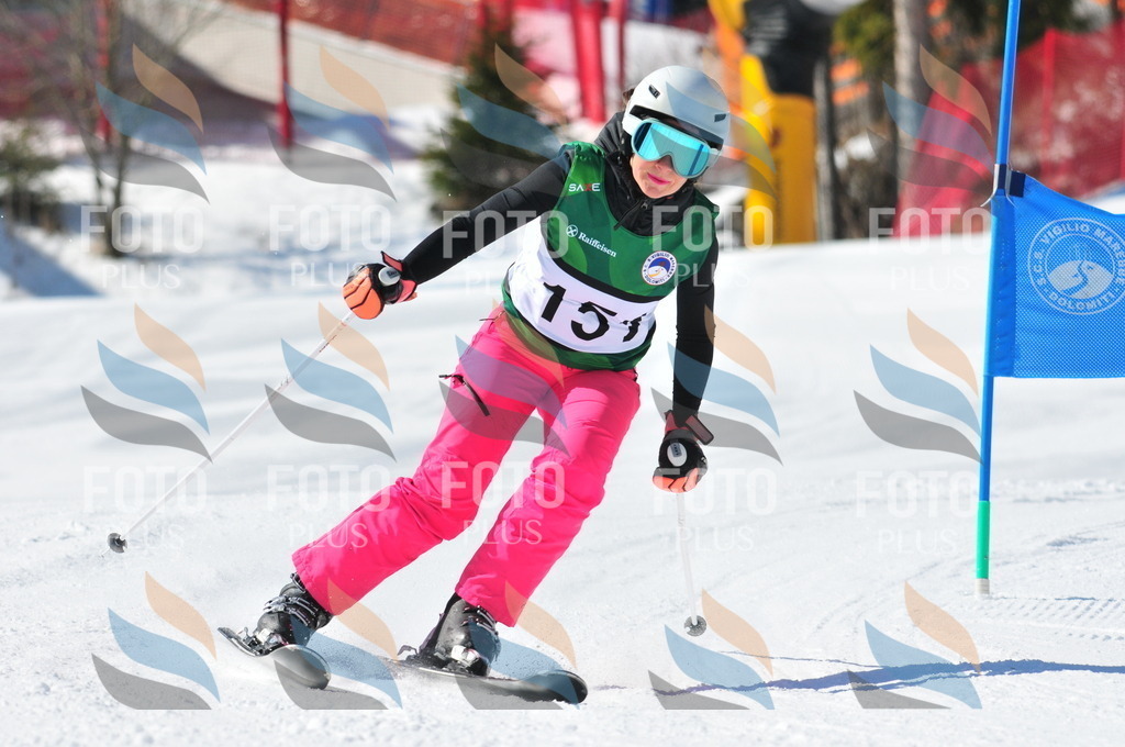 C4062 | holidayphoto