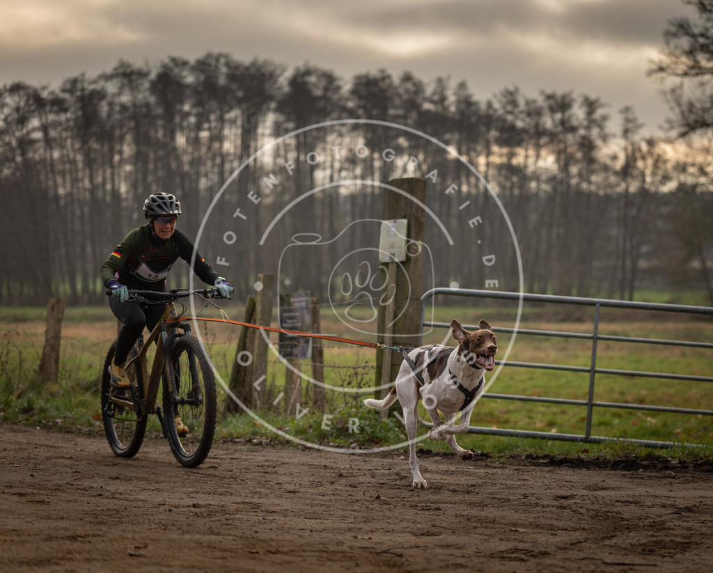 Pfotenfotografie_DV3A1814 | Hundefotografie, Tierfotograf, Pfotenfotografie, Fotoshooting Hund, Hunde Portrait, Hundesport, Hundeportraits, Heideshooting, Hunde, Sportfotograf, Hundefotograf, Turnierhundsport, THS,  - Realisiert mit Pictrs.com