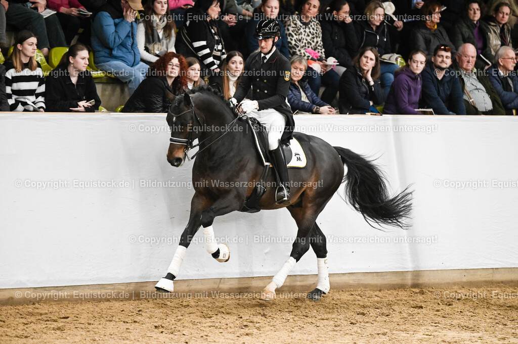 20260307_Hengstvorstellung-Marbach_0206 | equistock