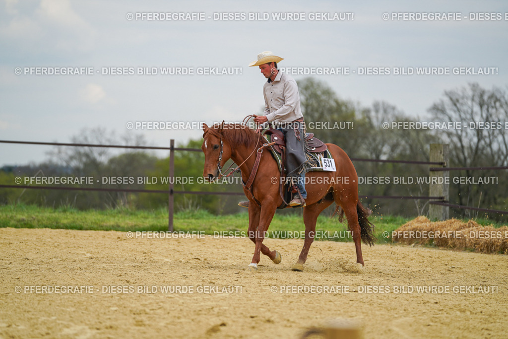 DSC07134 | Pferdegrafie