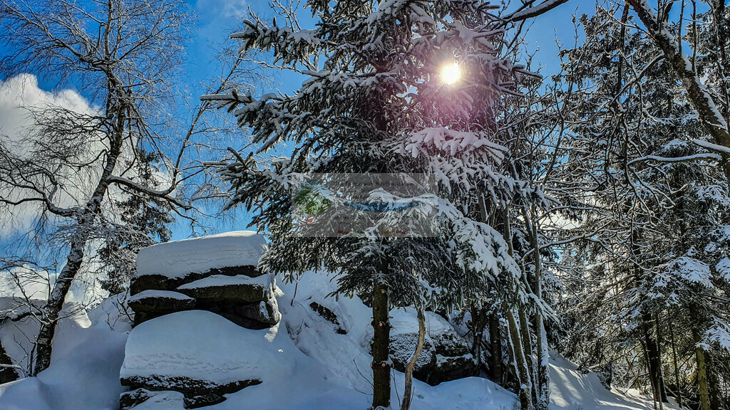 Platte Winter | Impressionen rund um Hochfranken - Frankenwald - Fichtelgebirge - Realisiert mit Pictrs.com