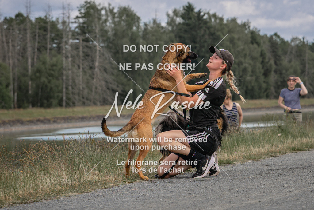 nelerasche_BuHu2026_SaCC1100-1200_139 | nelerasche