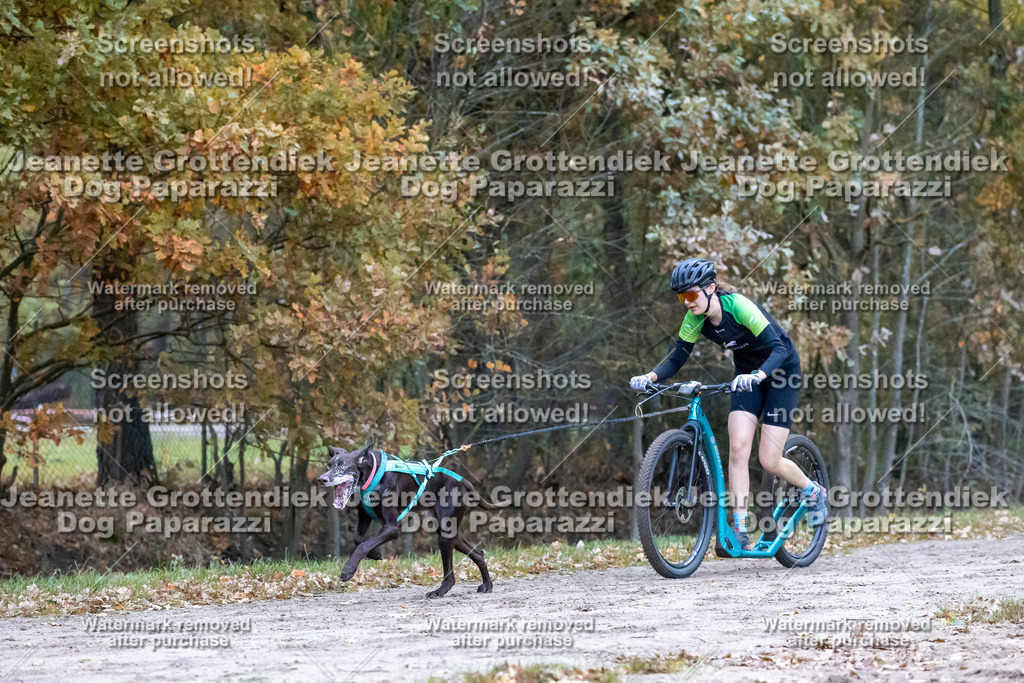 Dog Paparazzi - SD CaniX Championship 2025-168 | Dog Paparazzi Jeanette Grottendiek Fotografie & Videografie - Realisiert mit Pictrs.com